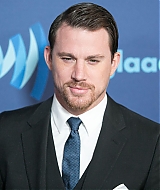 Filename=329.jpg
Filesize=771KiB
Dimensions=2000x1913
Date added=Dec 07, 2021 329.jpg