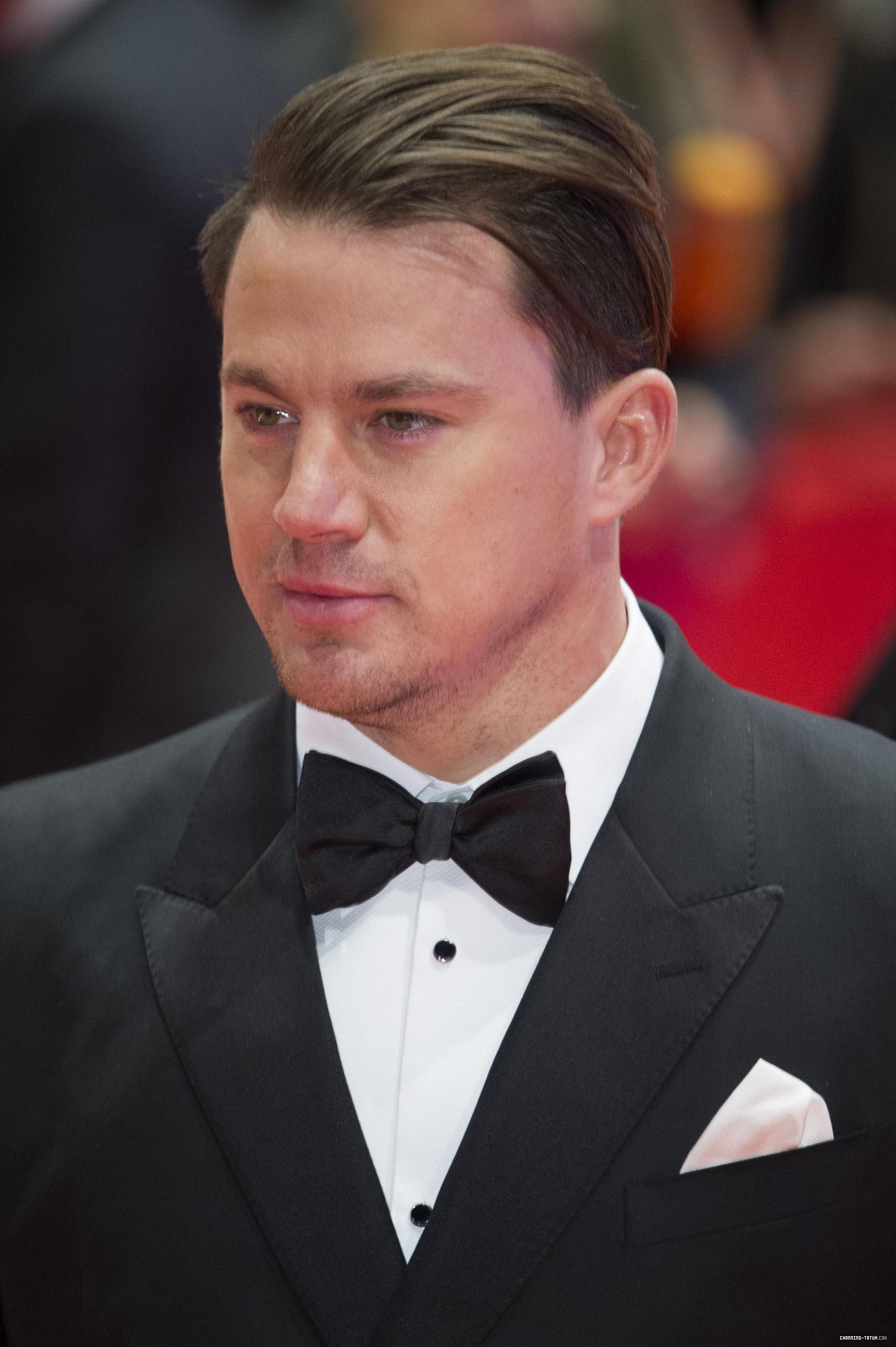 195.jpg