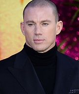 Filename=201.jpg
Filesize=2815KiB
Dimensions=1418x2000
Date added=Apr 05, 2022 201.jpg
