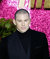 Filename=223.jpg
Filesize=2294KiB
Dimensions=1333x2000
Date added=Apr 05, 2022 223.jpg