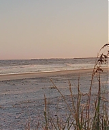 Filename=1014.jpg
Filesize=171KiB
Dimensions=1920x800
Date added=Aug 14, 2020 1014.jpg