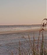 Filename=1015.jpg
Filesize=170KiB
Dimensions=1920x800
Date added=Aug 14, 2020 1015.jpg