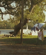 Filename=1299.jpg
Filesize=180KiB
Dimensions=1920x800
Date added=Aug 14, 2020 1299.jpg