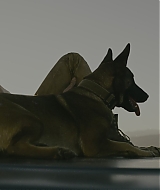 Filename=1589.jpg
Filesize=235KiB
Dimensions=2000x829
Date added=Sep 05, 2022 1589.jpg