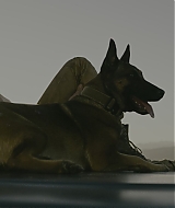 Filename=1590.jpg
Filesize=236KiB
Dimensions=2000x829
Date added=Sep 05, 2022 1590.jpg