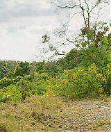 Filename=0843.jpg
Filesize=311KiB
Dimensions=1920x800
Date added=Aug 24, 2022 0843.jpg