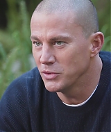 262.jpg