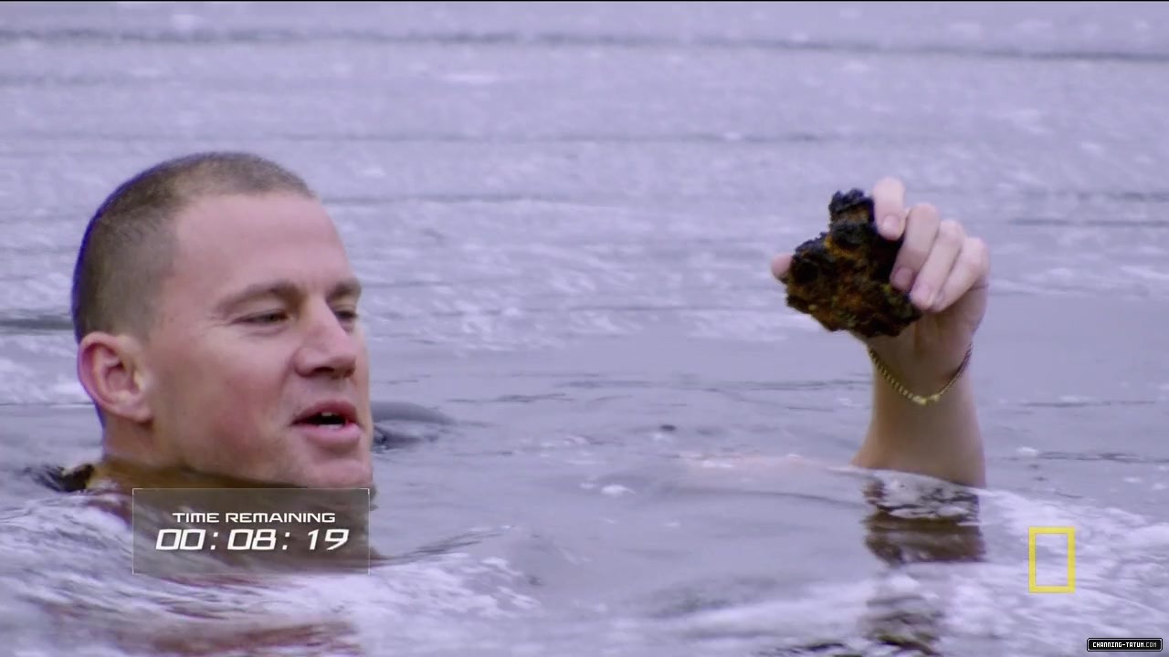732.jpg